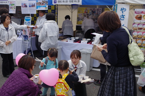 IMGP2566