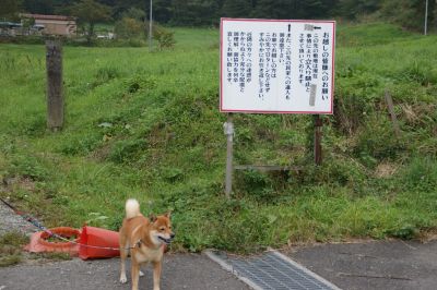 Dash村の前まで行ってきました 柴犬アトム 黒柴アラレの日々是好日