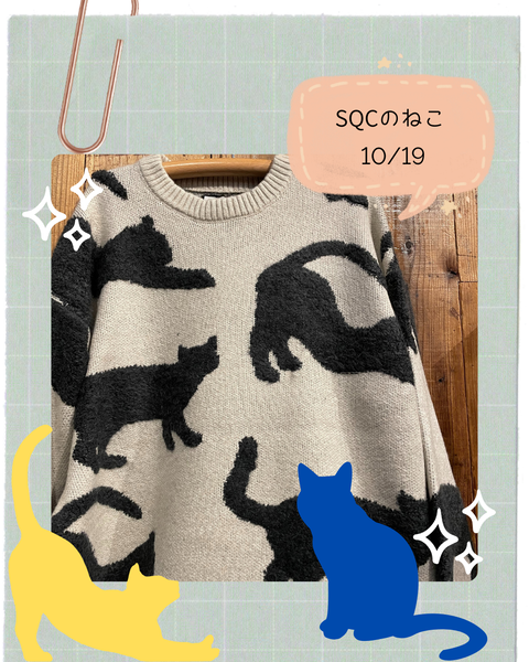 SQCのねこ