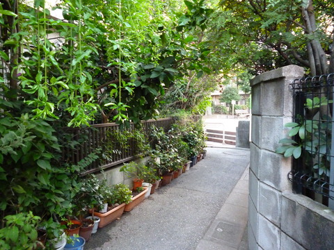 P1000163