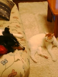 ���ȤΤ��Ȥߤ�