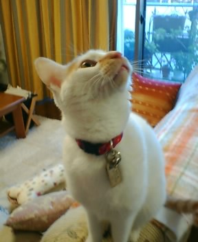 ���ߤƤ�����¢��