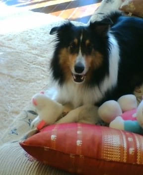 ���Τ��Ȥ�