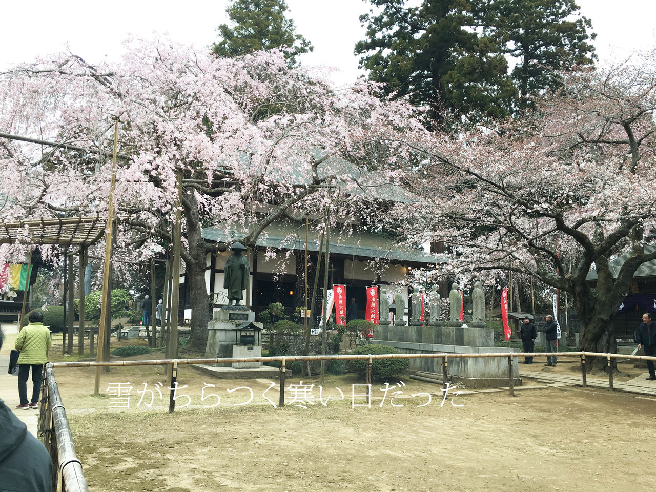 水戸 六地蔵寺にしだれ桜を見に行ってきました 主婦も歩けばアート 水戸 六地蔵寺にしだれ桜を見に行ってきました 主婦も歩けばアート