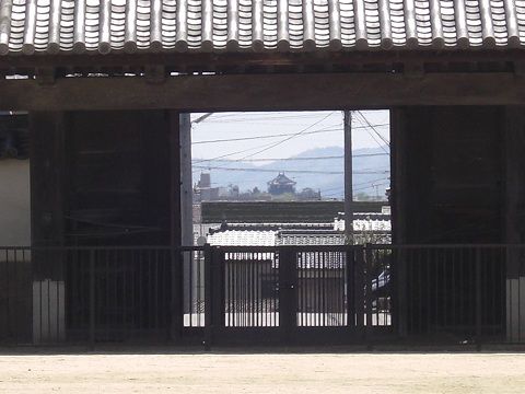 イメージ 12