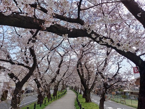 20210326_141328 - コピー