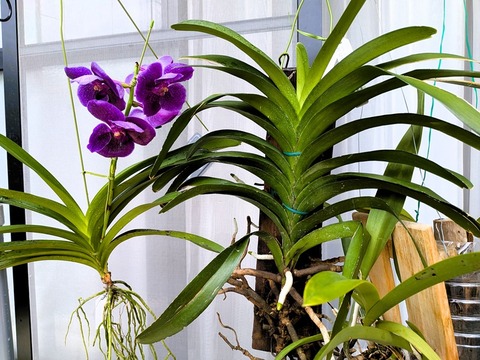 PXL_20250621_033659163