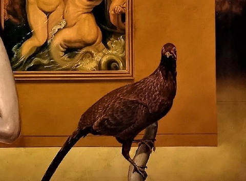 f20240804_072651 (8) - コピー - コピー