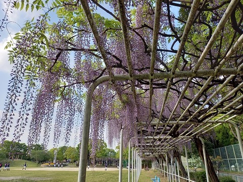 20210423_160003 - コピー