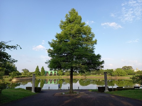 20220625_055003