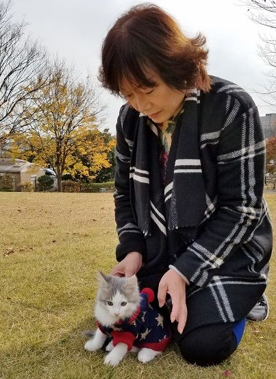 イメージ 12