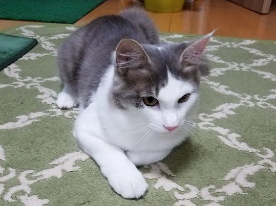 イメージ 4