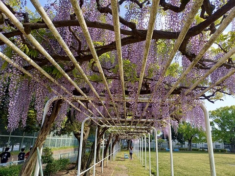 20210423_160815 - コピー