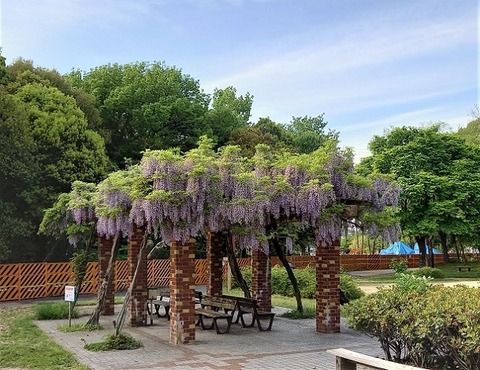 20210422_160546 - コピー