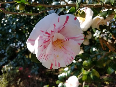 20200315_102511 - コピー