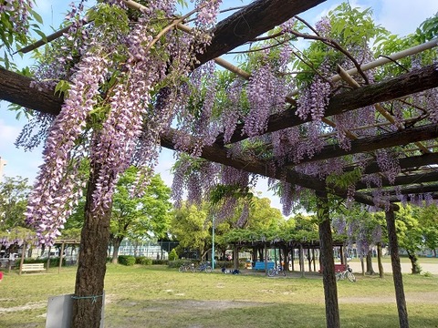 20210423_160341 - コピー