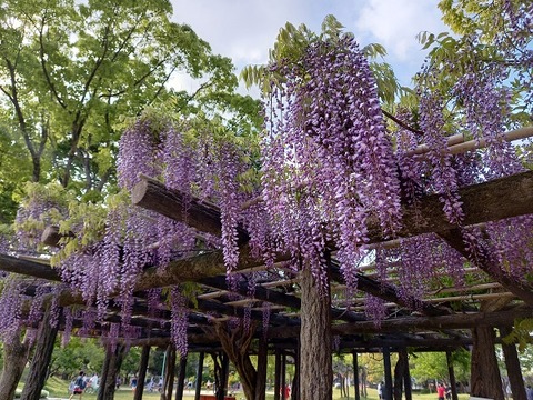 20210423_160124 - コピー