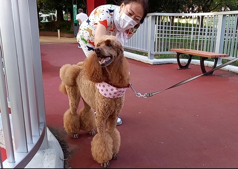 20220827_173329_Moment(3)