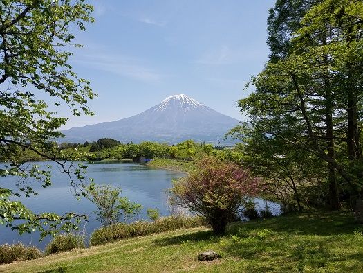 イメージ 7