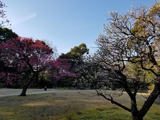 イメージ 10