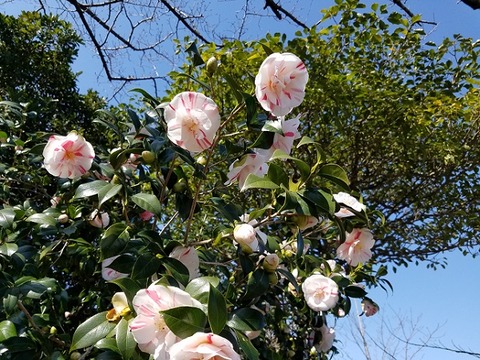 20200315_102525 - コピー