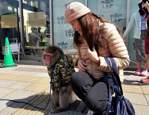 20200315_115446 - コピー