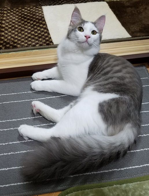 イメージ 6