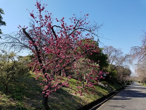 20200315_102454 - コピー