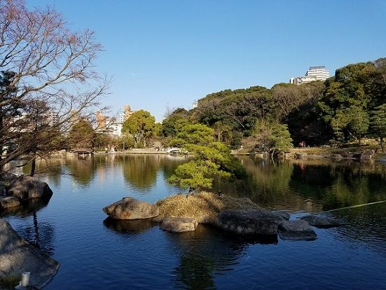 イメージ 15