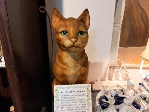 20230923_110321 - コピー