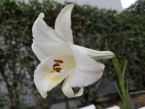 20190816_184139