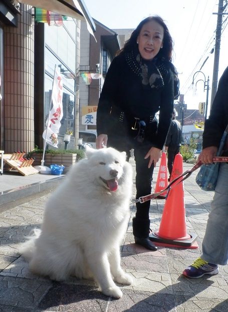 イメージ 5
