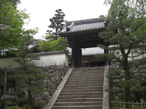 イメージ 6
