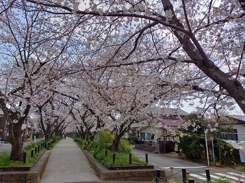 20210326_141624 - コピー