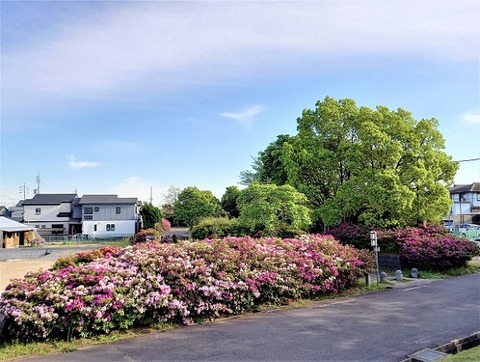 20210422_162154 - コピー