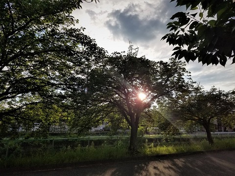 20200622_181411