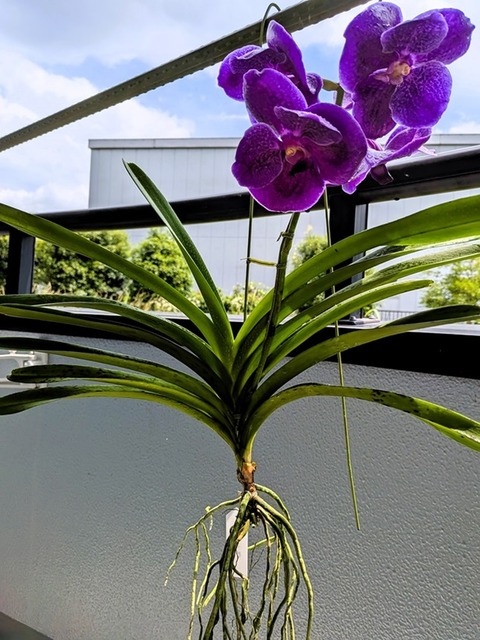 PXL_20250621_033455875