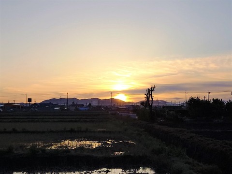 20230520_050057 (2)