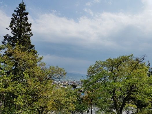 イメージ 8