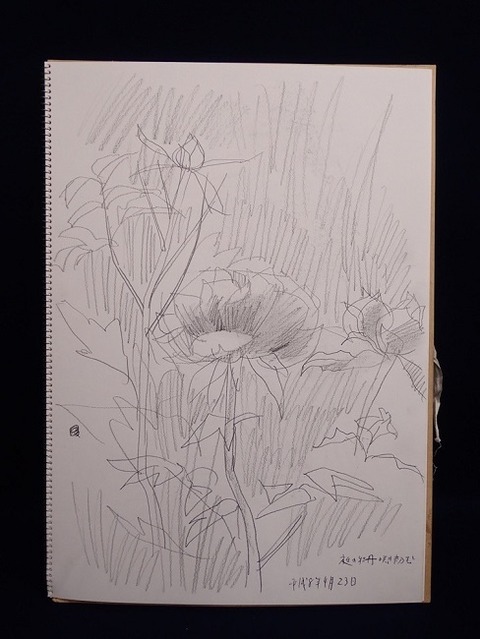 i-img750x1000-15864097124sb3kr254