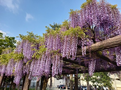 20210423_160209 - コピー