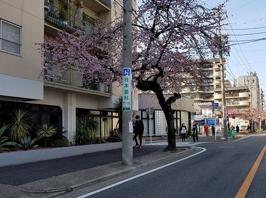 イメージ 8