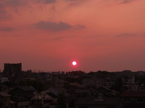 イメージ 2