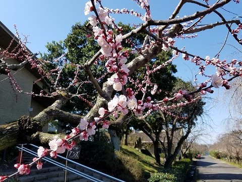 20200315_102343 - コピー