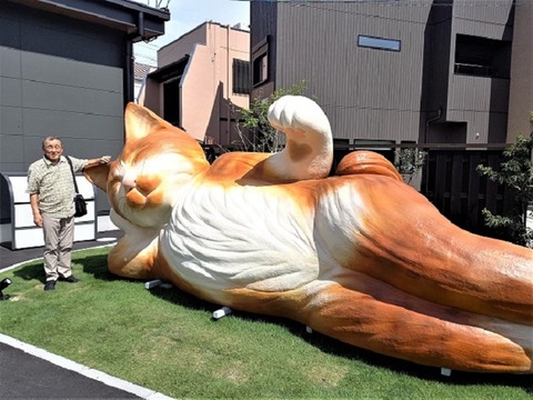 20230923_105906 - コピー