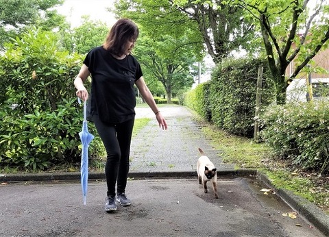 20200711_164803 - コピー