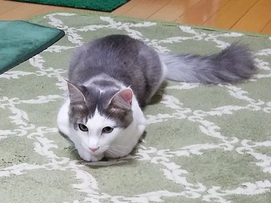 イメージ 3