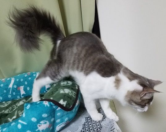 イメージ 5