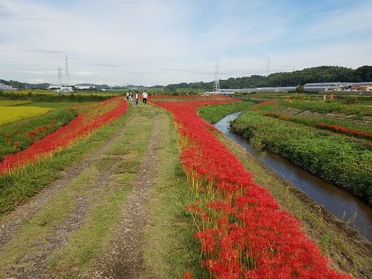 イメージ 7