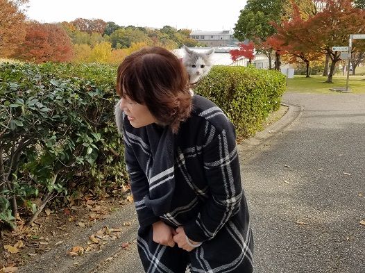 イメージ 9